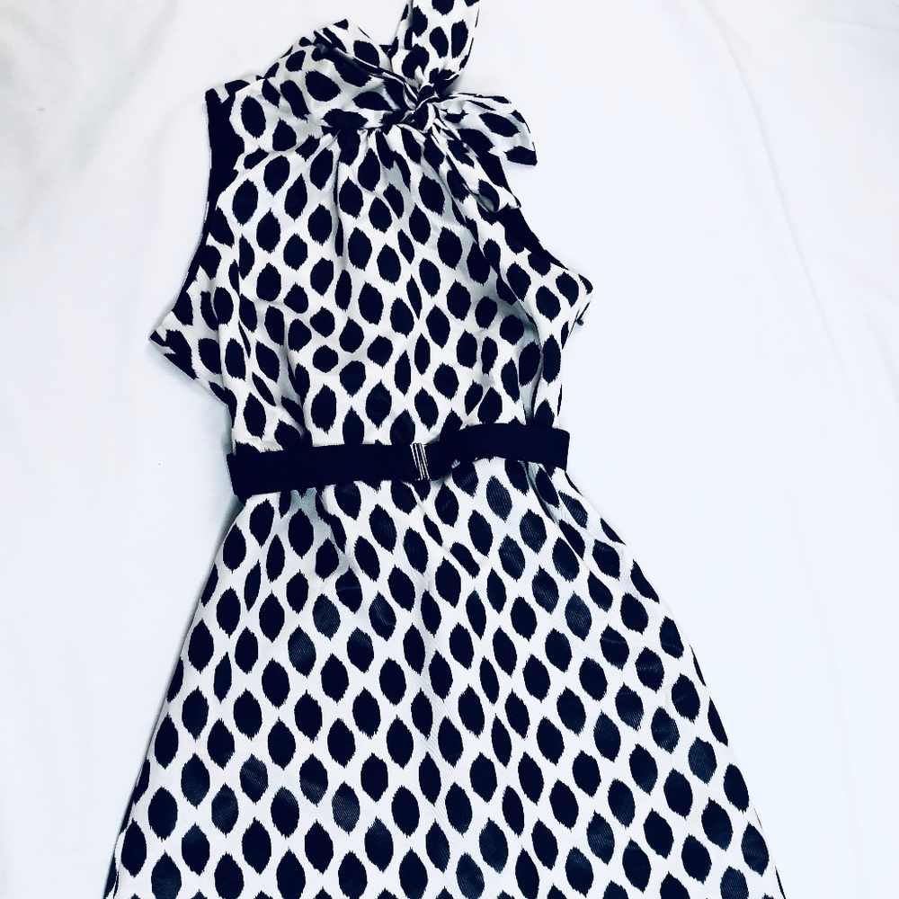 Navy Blue and white dress